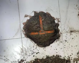 龙沙查漏水多少钱