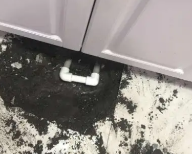 龙沙查漏水哪家好